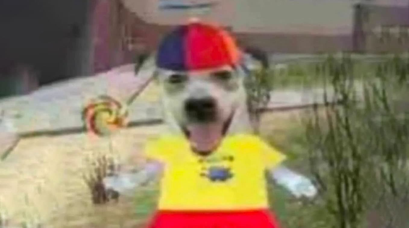 Propeller Hat and Lollipop Dog meme template - Propeller Hat Dog Maker