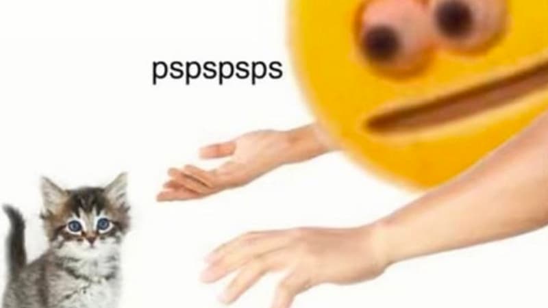 Pspspsps meme template - Pspspsps
