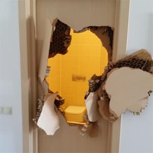 Quinning meme template - Quinning