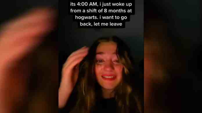 Reality Shifting meme template - Reality Shifting