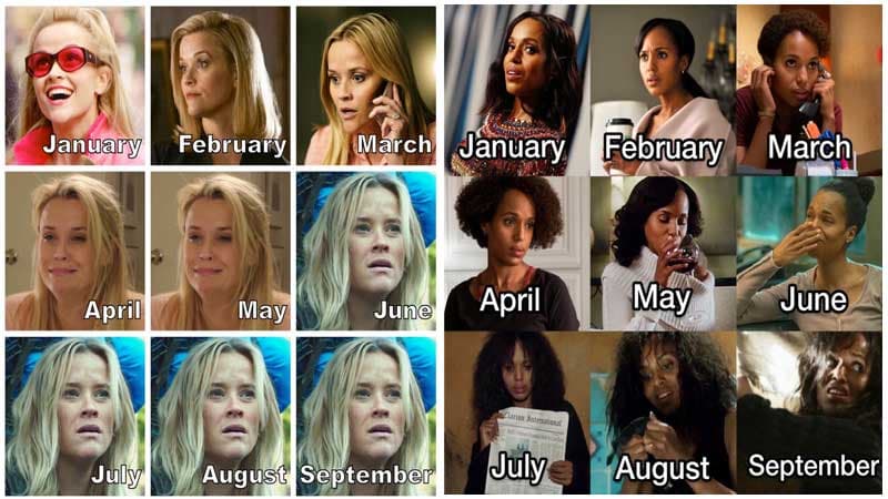 Reese Witherspoon 2020 Challenge meme template - Reese Witherspoon 2020 Challenge