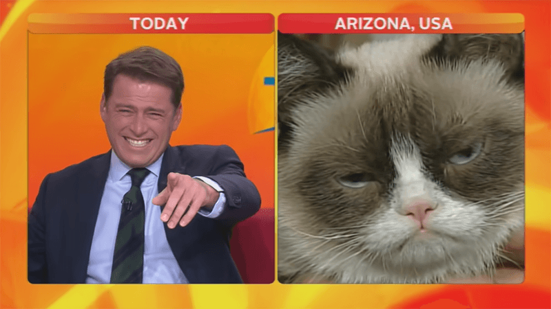 Reporter Laughing at Cat meme template - Reporter Laughing at Cat