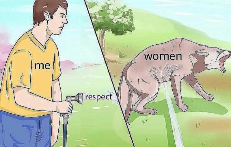 Respect Women meme template - Respect Women