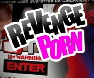 Revenge Porn meme template - Revenge
