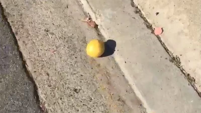 Rolling Lemon meme template - Rolling Lemon