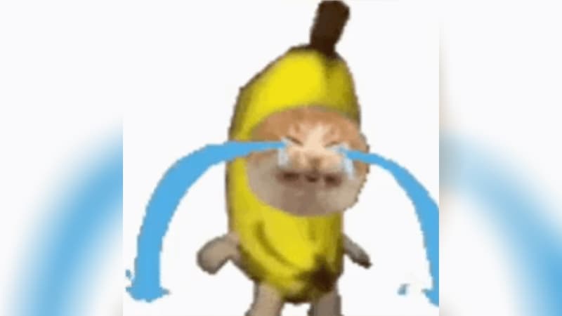 Sad Banana Cat meme template - Sad Banana Cat