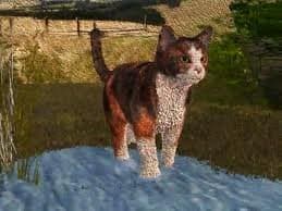 Sad Toy Cats meme template - Sad Toy Cats