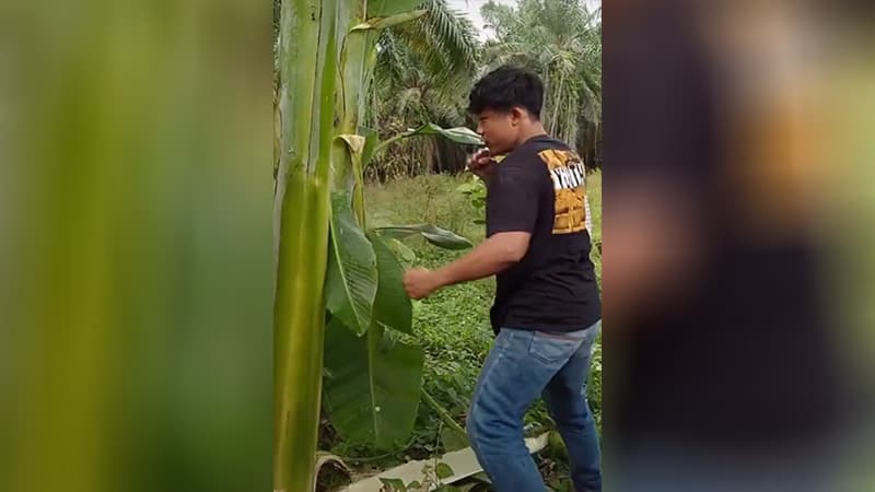 Salam Dari Binjai meme template - Salam Dari Binjai