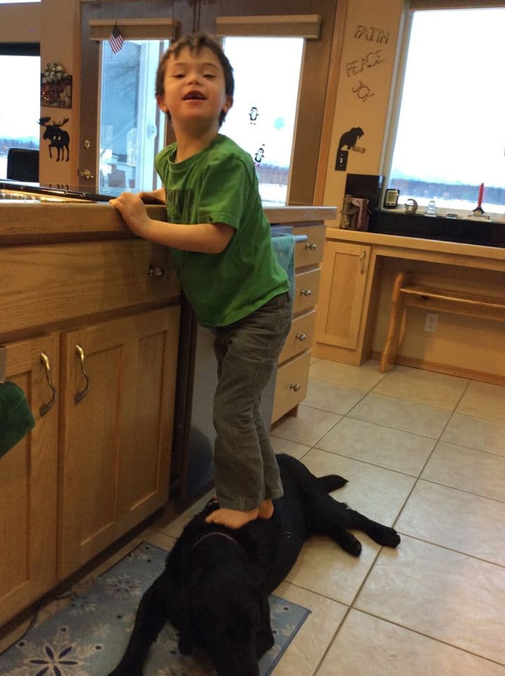 Sarah Palin's Dog Step Stool meme template - Sarah Palin Dog