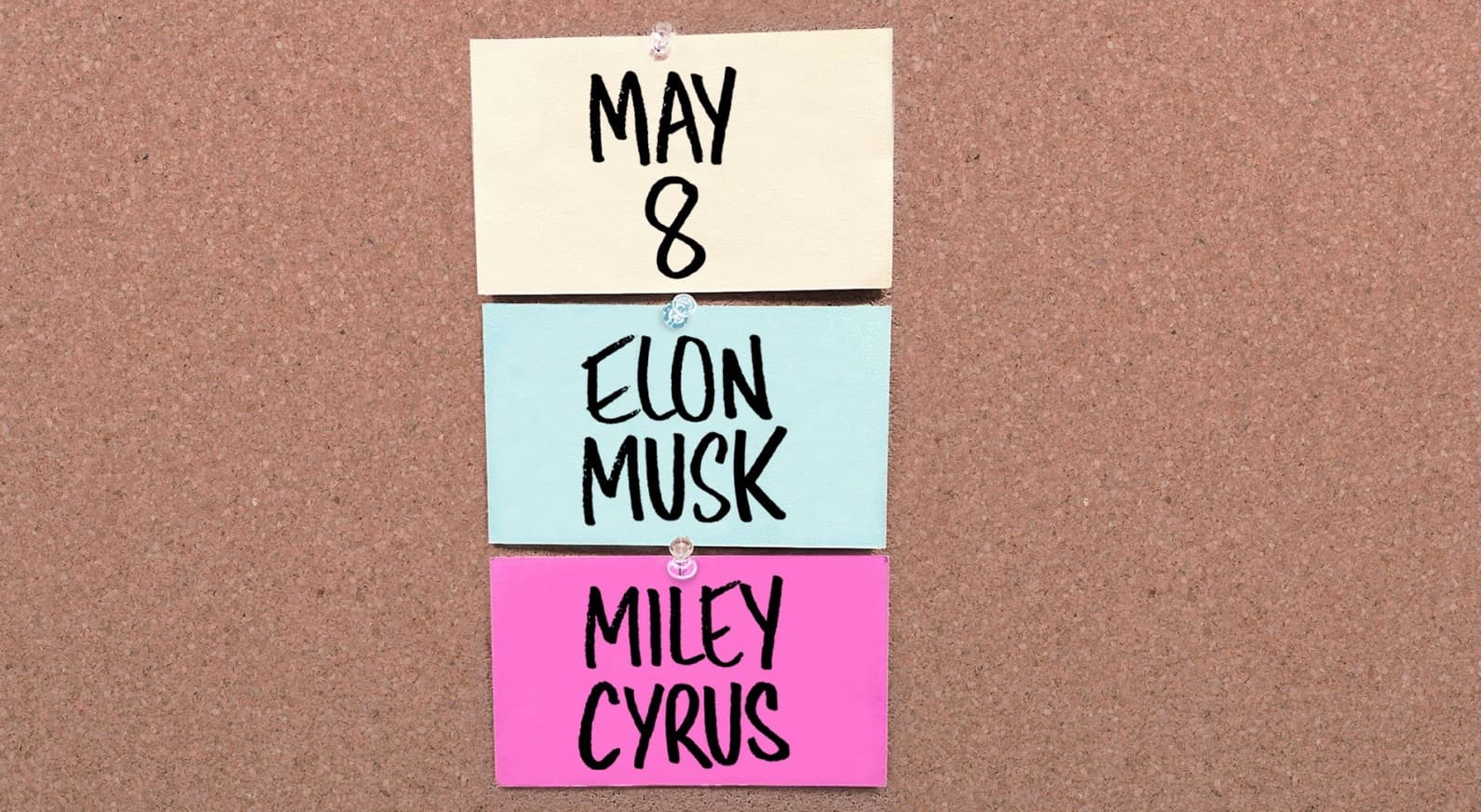 Saturday Night Live's Elon Musk Announcement Parodies meme template - SNL Elon Musk