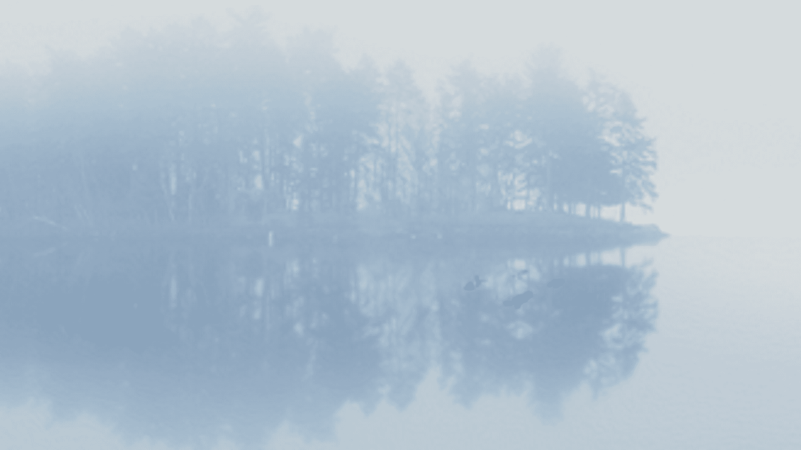 SCP-2316 meme template - SCP-2316