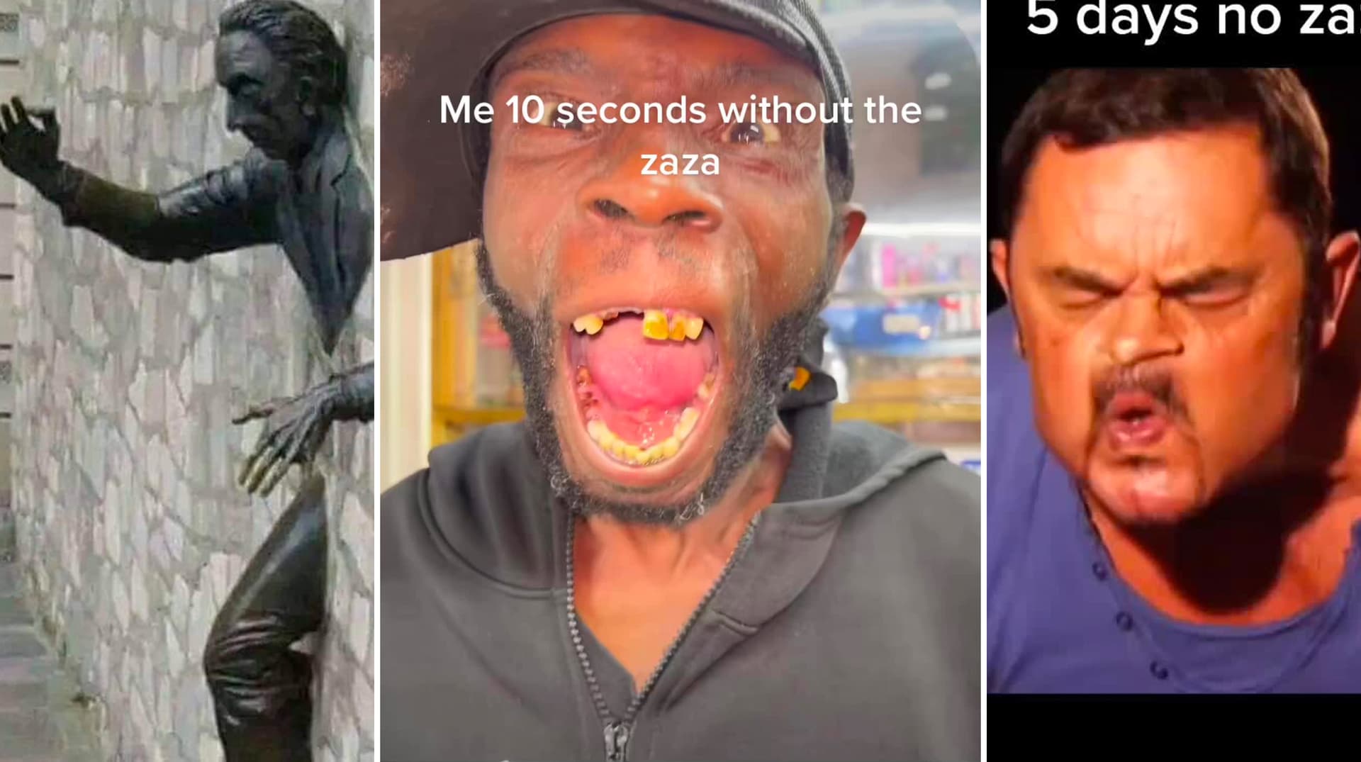 Seconds Without Zaza / Minutes Without Zaza / Days Without Zaza meme template - Seconds Without Zaza