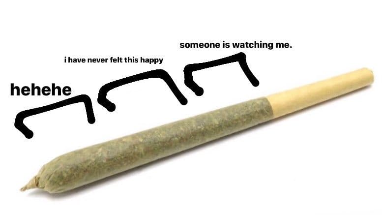 Sections of a Joint meme template - Sections of a Joint