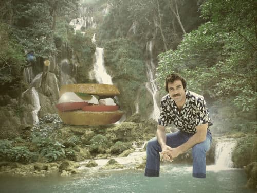 Selleck Waterfall Sandwich meme template - Selleck Waterfall Sandwich