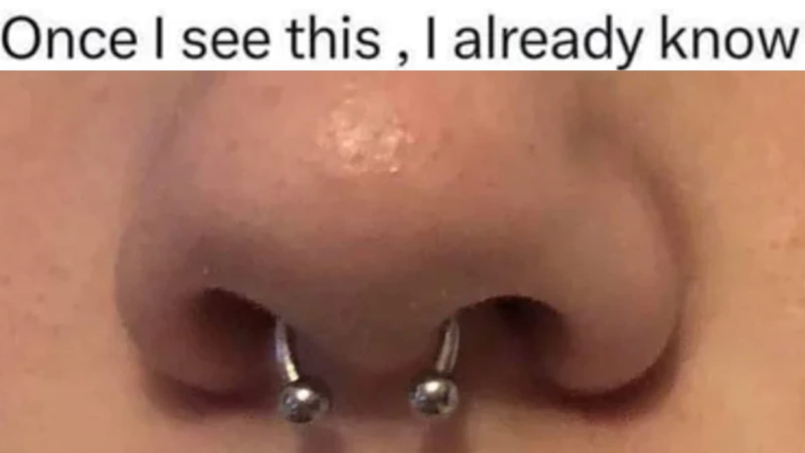 Septum Theory meme template - Septum Theory