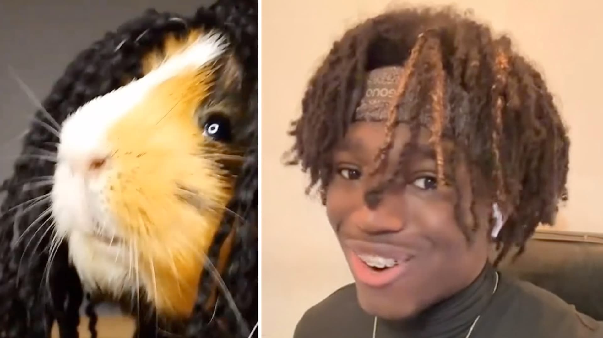 Shake Your Dreads meme template - Shake Your Dreads