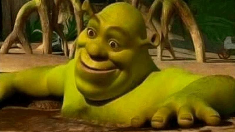 Shrek in a Mud Bath meme template - Shrek Mud Bath