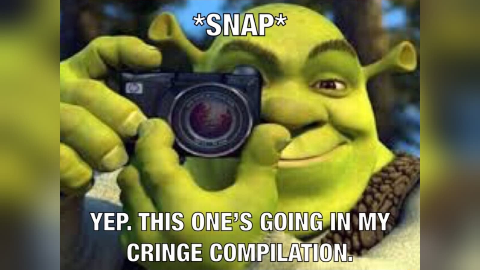 Shrek's Cringe Compilation meme template - Shrek Cringe Compilation