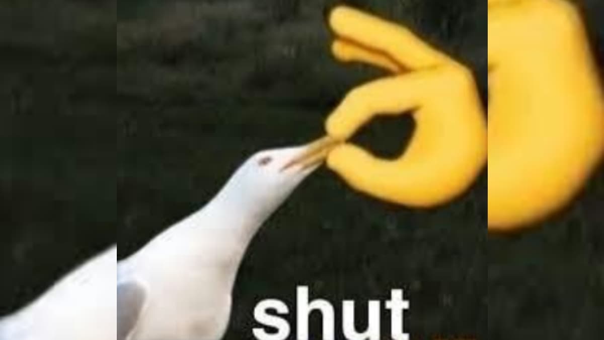 Shut Seagull meme template - Shut Seagull