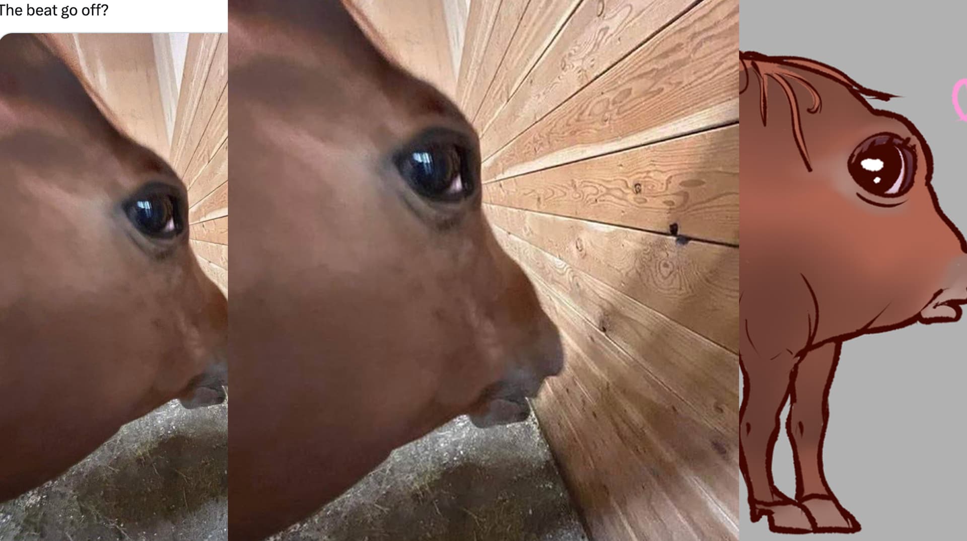 Side Eye Horse meme template - Side Eye Horse