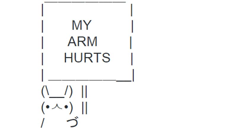 Sign Bunny meme template - Sign Bunny