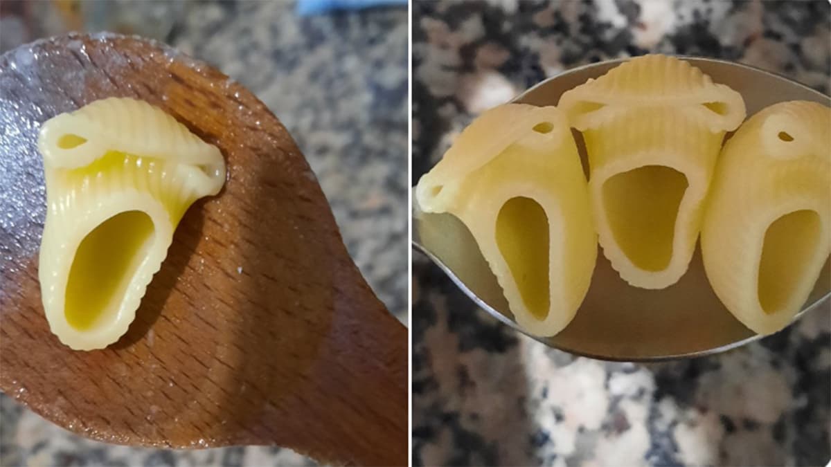 Singing / Screaming Pasta meme template - Singing Pasta