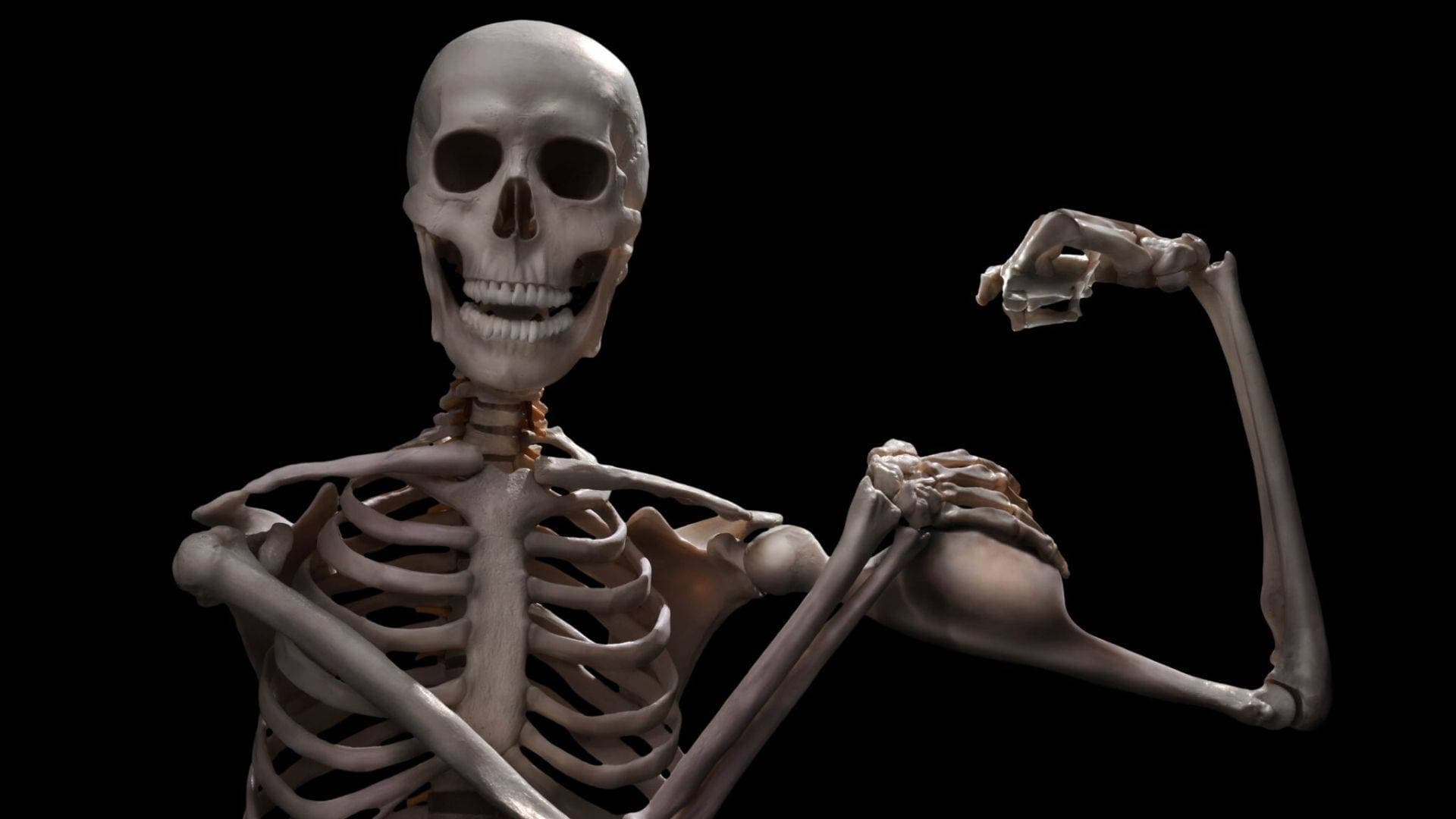 Skeletons meme template - Skeleton