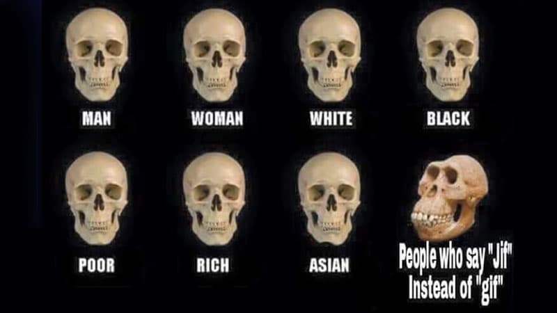 Skull Comparisons meme template - Skull Comparisons
