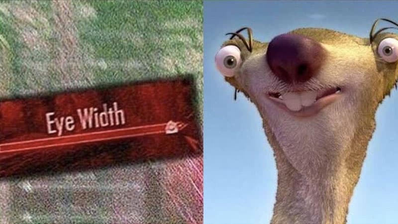 Skyrim Eye Width meme template - Skyrim Eye Width