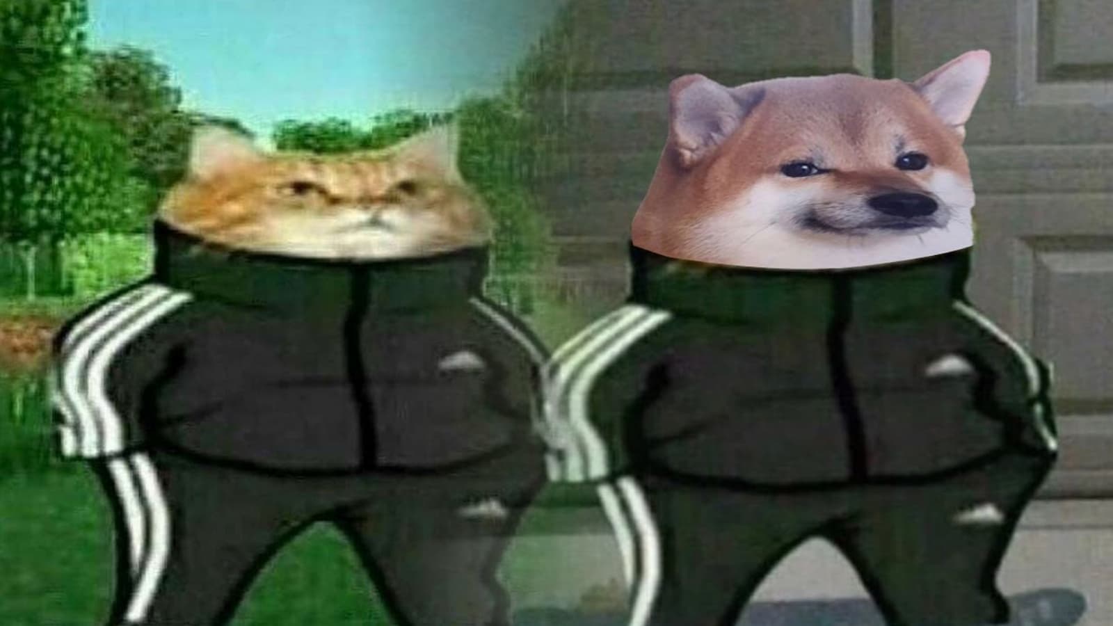 Slav Cat / Slav Cheebs meme template - Slav Cat