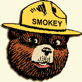 Smokey The Bear meme template - Smokey the Bear