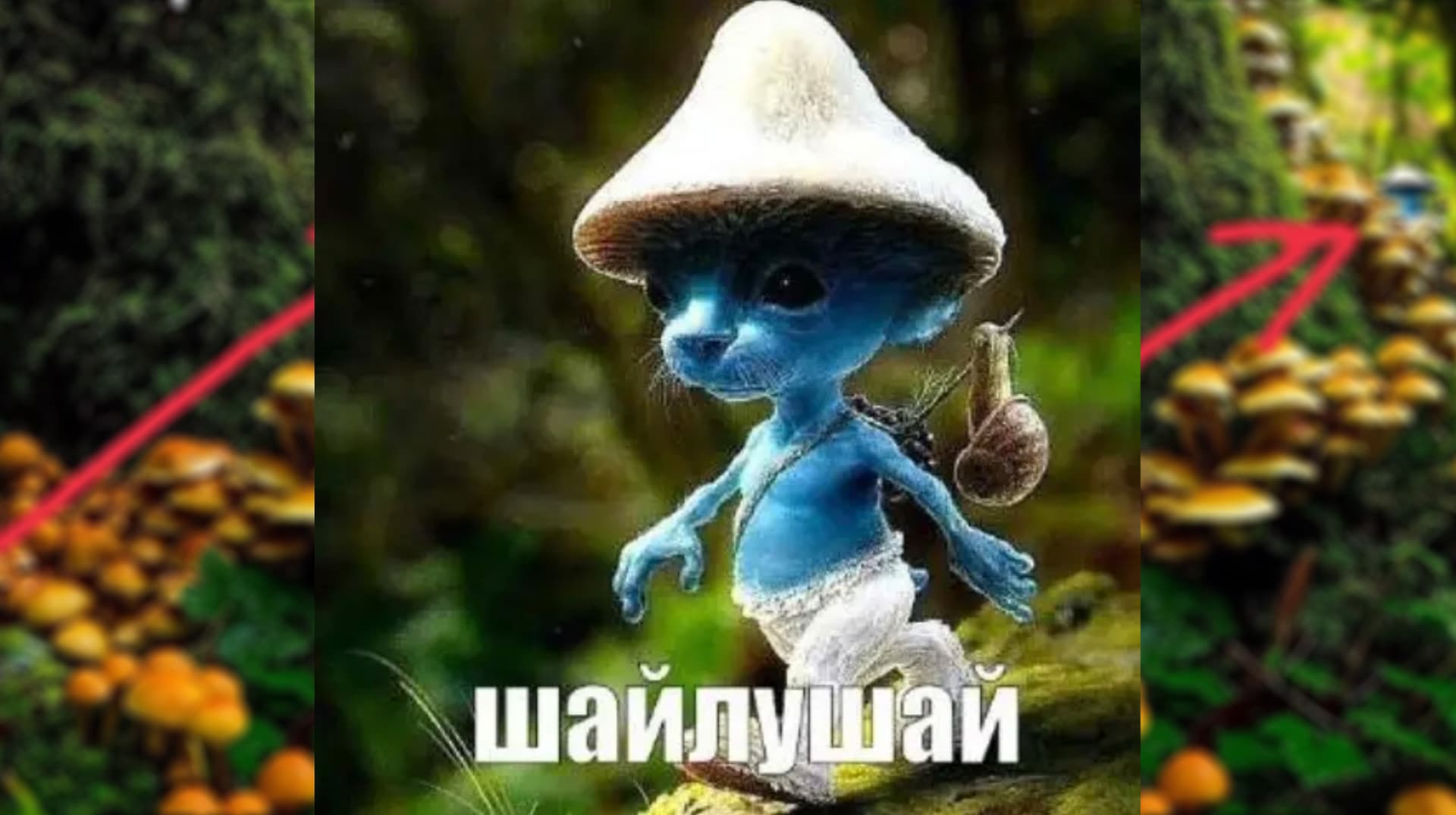 Smurf Cat meme template - Smurf Cat