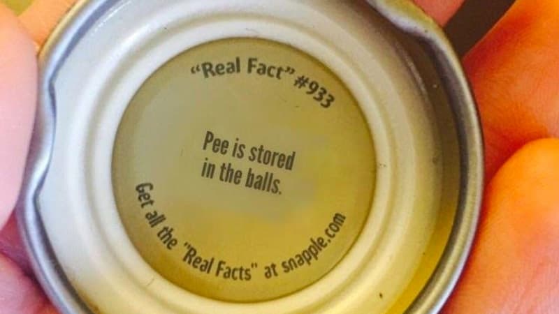 Snapple Facts "Real Fact" meme template - Snapple Facts