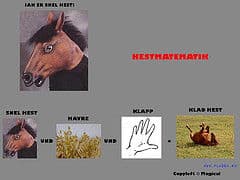 Snel hest meme template - Snel hest meme generator