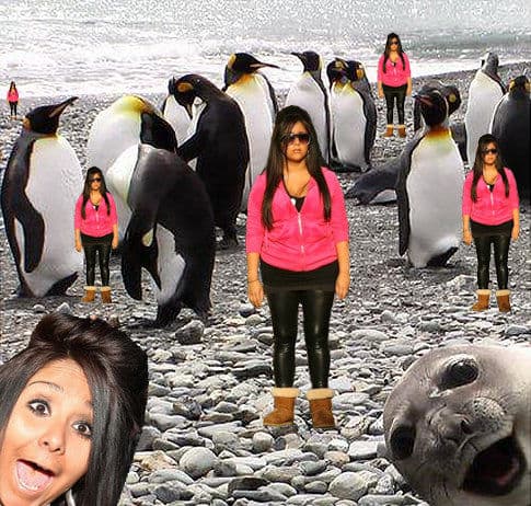 SnookieShop meme template - SnookieShop