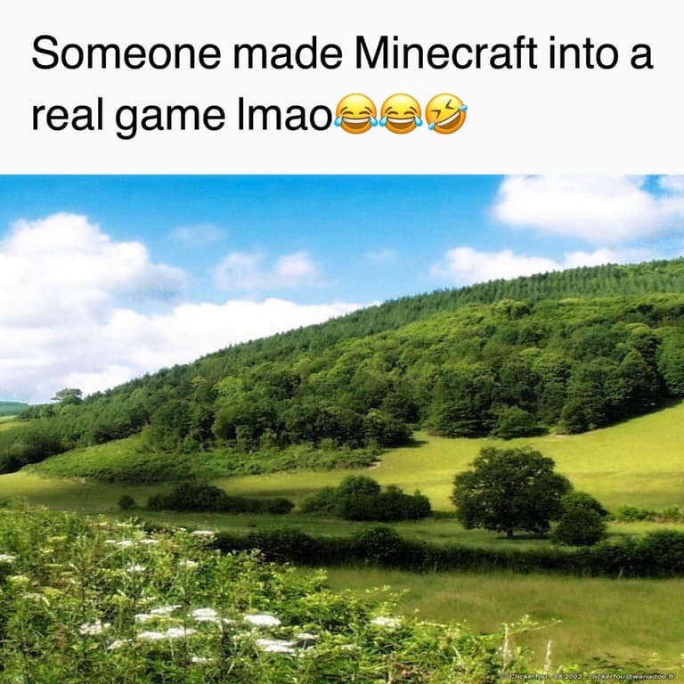 Someone Turned This Into a Real Game meme template - Someone Turned This Into a Real Game