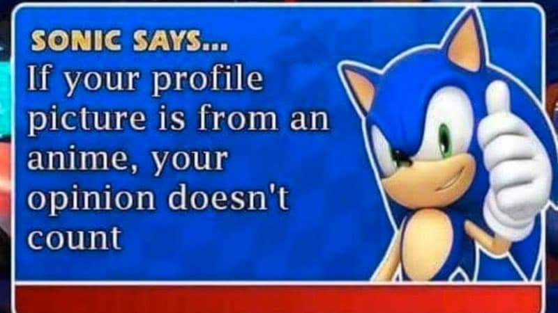 Sonic Says meme template - Sonic Says