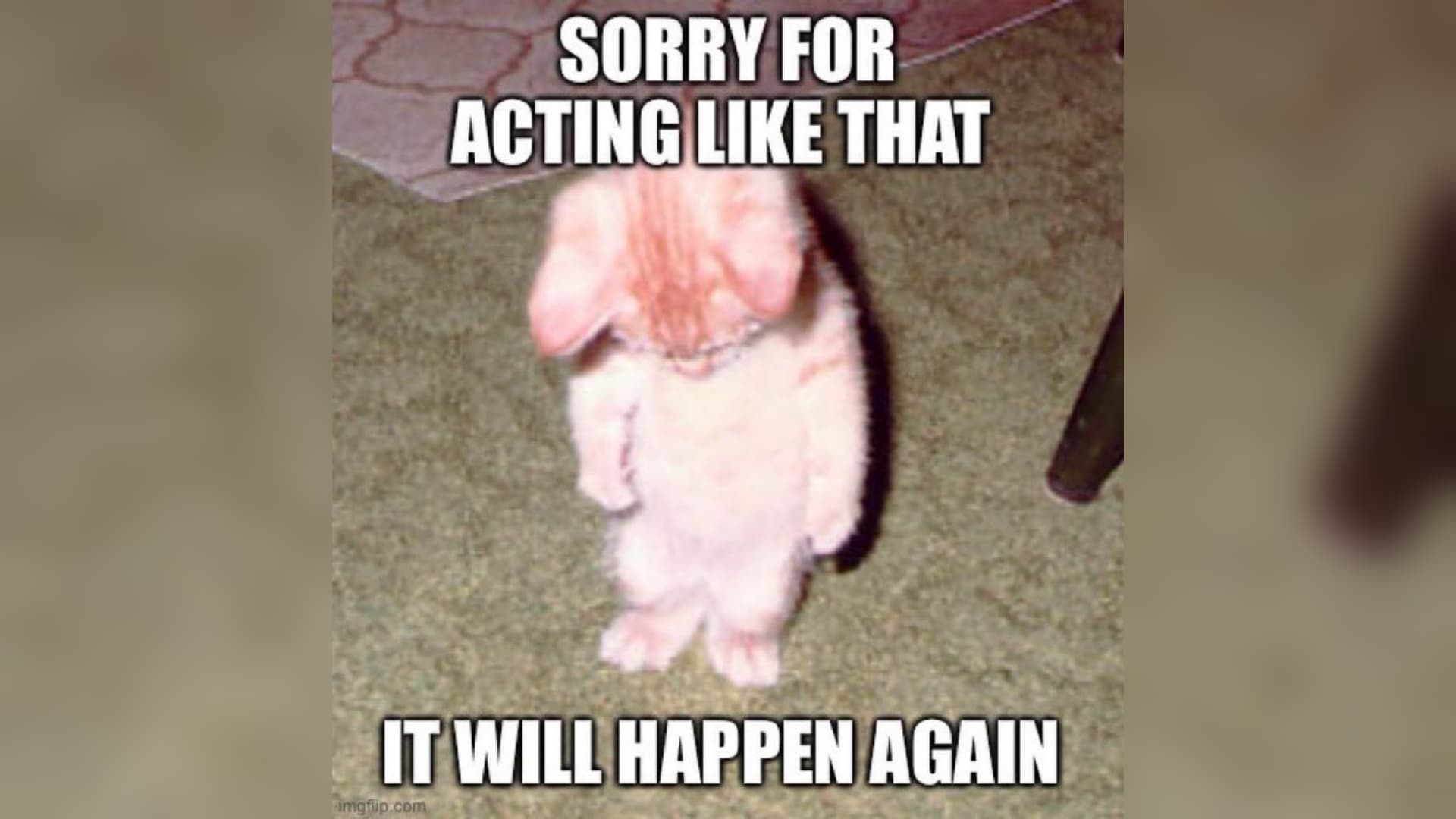 Sorry For X, It Will Happen Again meme template - Sorry For X It Will Happen Again