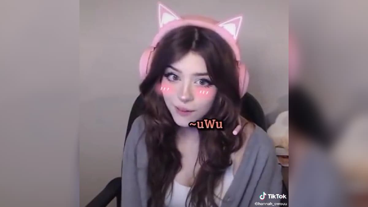 Sorry I Don't Talk In An UWU Voice meme template - Sorry I Don't Talk In An UWU Voice