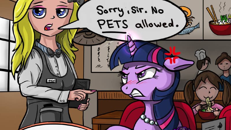 Sorry Sir, No Pets Allowed / Excuse Me That's My Wife meme template - No Pets Allowed