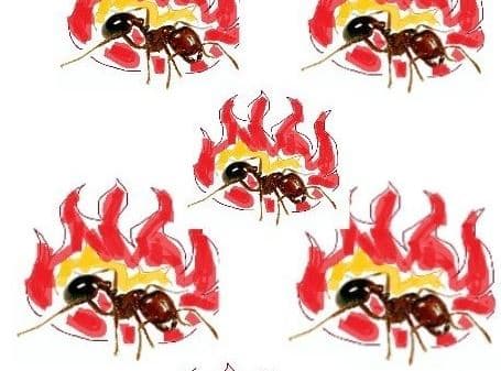 Spicy Boys meme template - Spicy Boys