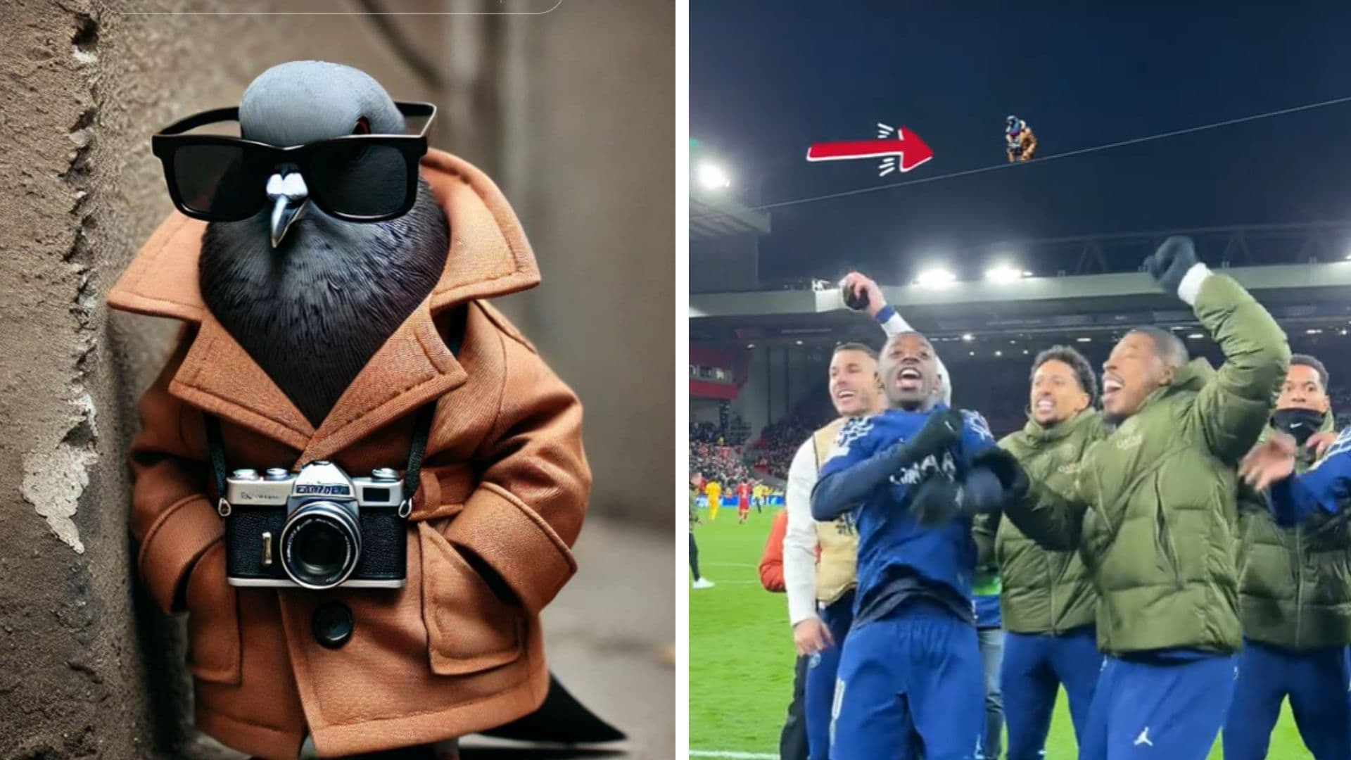 Spijuniro Golubiro (Balkan Brainrot) meme template - Spijuniro Golubiro