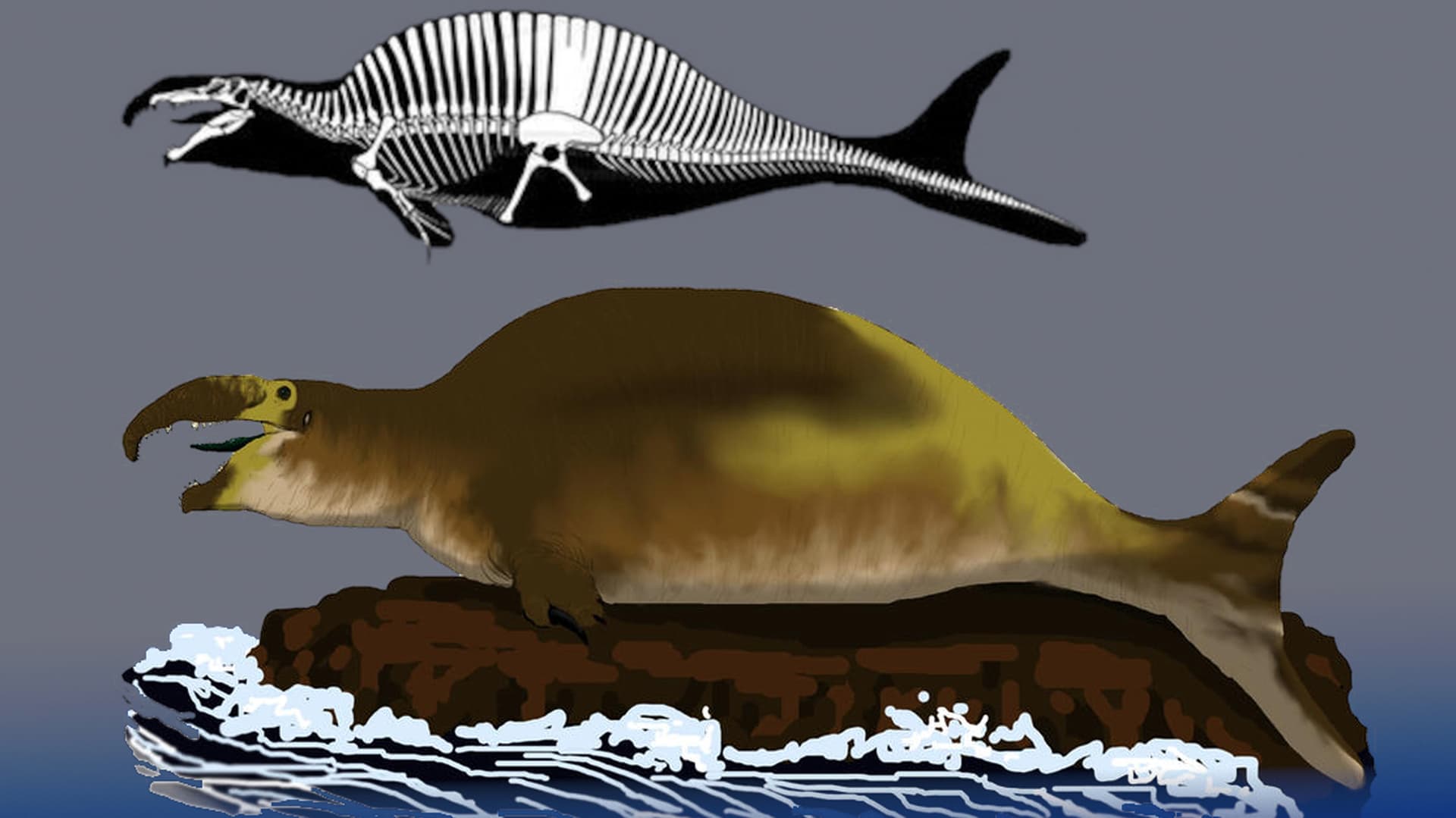 Spinofaarus / Spinosaurus Nerf meme template - Spinofaarus