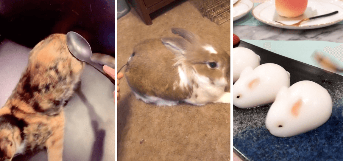 Spoon Spank meme template - Spoon Spank