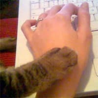 Stop Posting meme template - Stop Posting