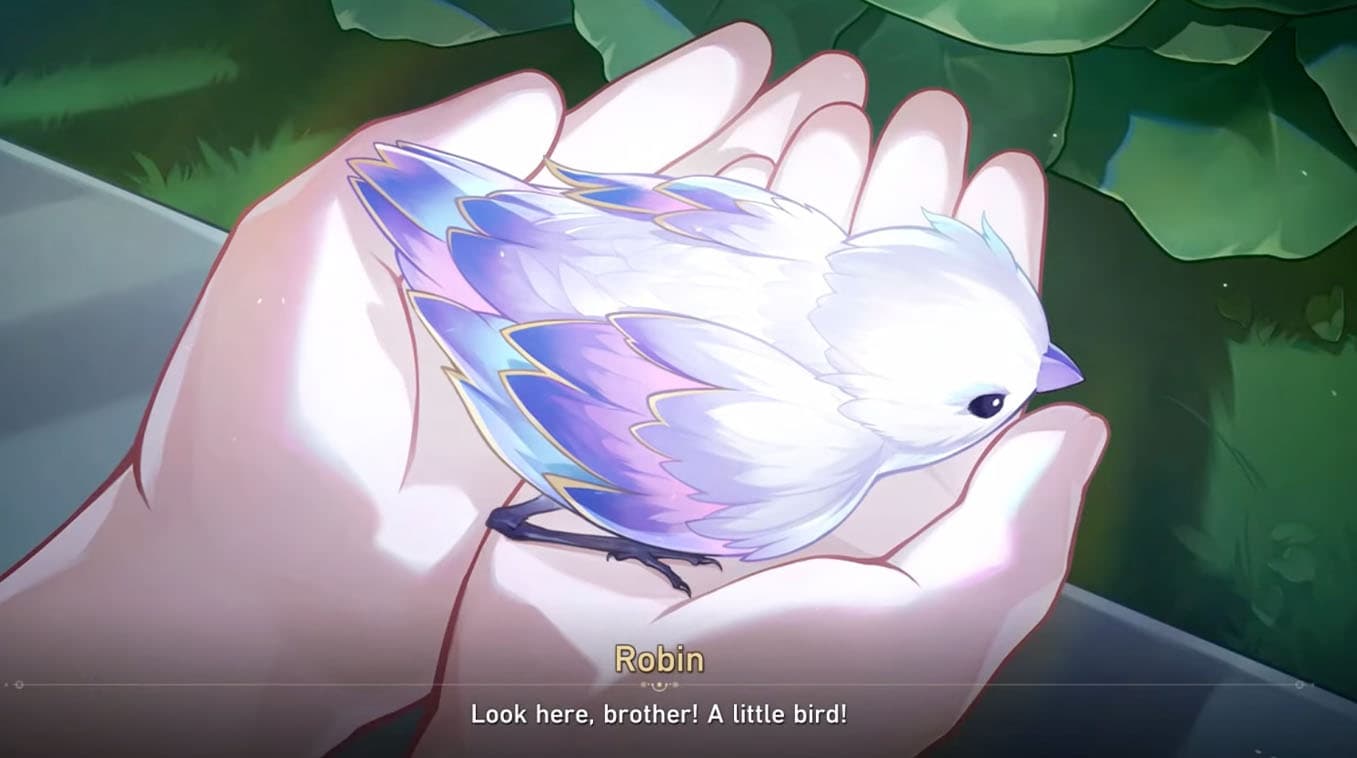 Sunday's "Charmony Dove" Copypasta meme template - Sunday Charmony Dove