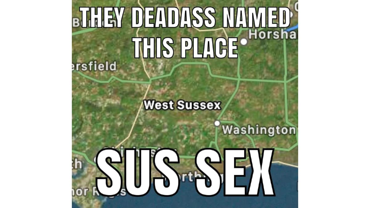 Sus Sex (Sussex) meme template - Sussex