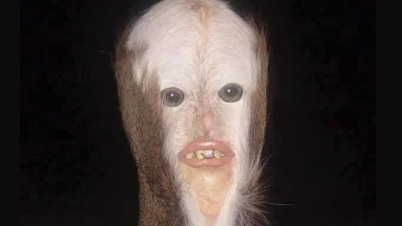 Swamp Booger meme template - Swamp Booger