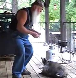 SwampMusic12 meme template - SwampMusic12