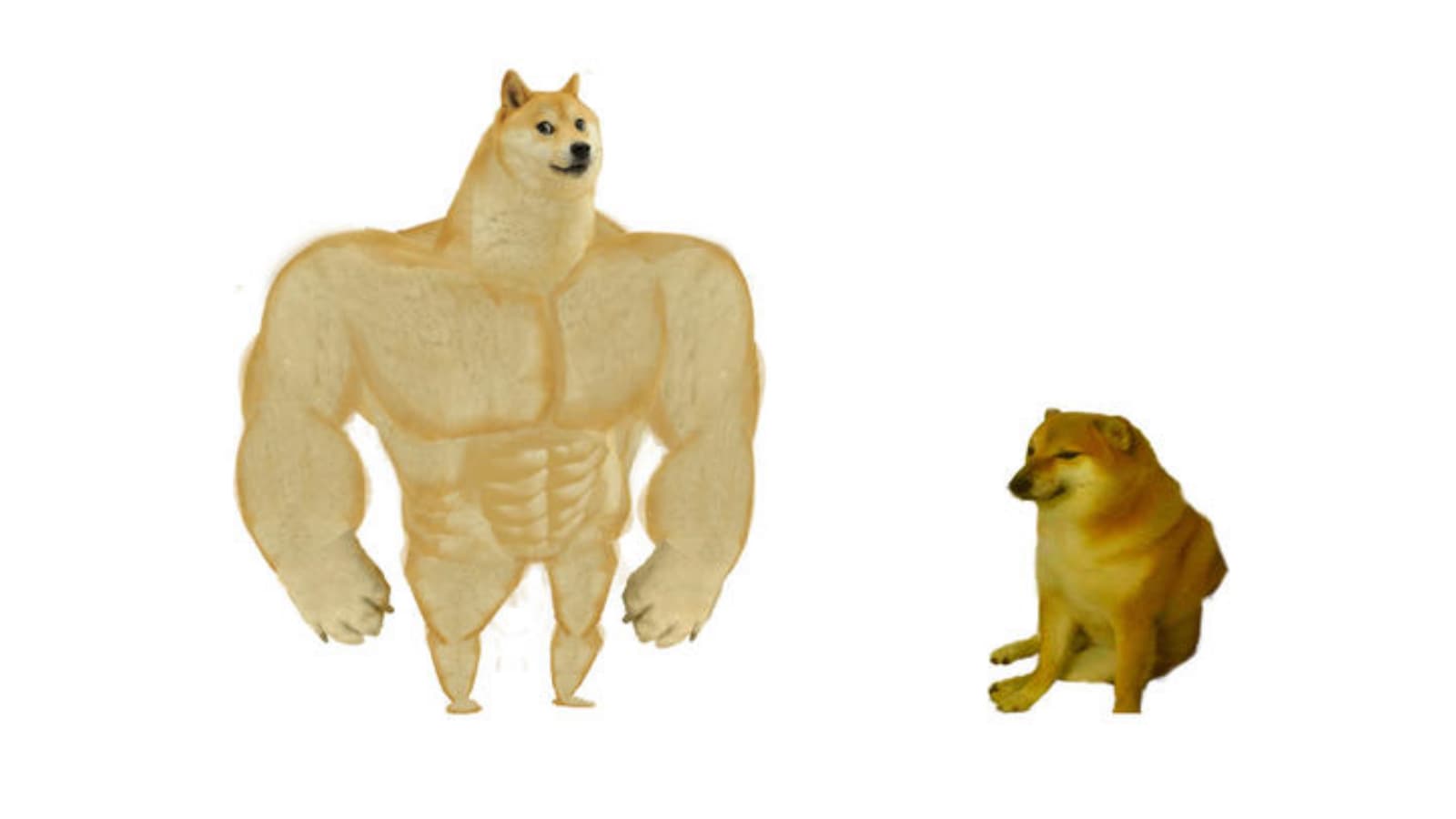 Swole Doge vs. Cheems meme template - Swole Doge vs Cheems